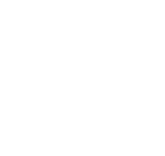 Protect the chity and peaple