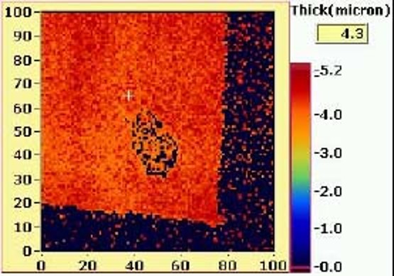 ▲図3.薄切切片の超音波顕微鏡マップ像