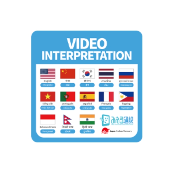 VIDEO INTERPRETATION